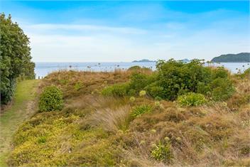 Matahari Beachfront Tairua - Pet Friendly - Tairua
