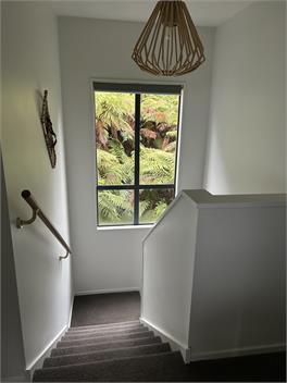 Lake Brunner Road - Lichen Lodge - West Coast