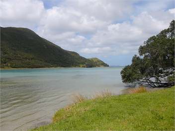 Protea Park Cottage - Peaceful Paradise - Kaitaia