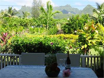 Heron's Reef Ferns Studio Apartment - Rarotonga