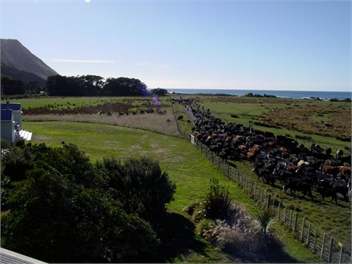 The Beach House - Martinborough