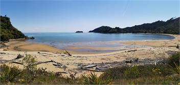 Beachaven: Two Cottages, Wifi & Kayaks Free. - 