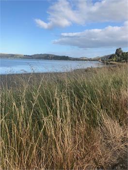 Pete's Place - Curio Bay
