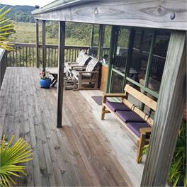 Treetops - Paihia