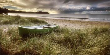 Onetangi Beach Cottage (Bachcare) - Onetangi