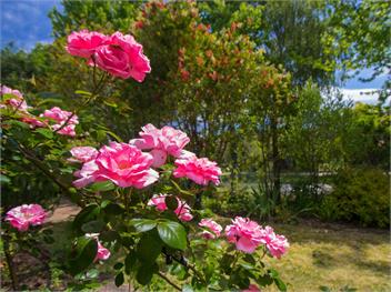 Secret Garden Lodge (Bachcare) - Marahau