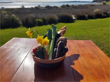 Pahoia Beachstay - The Crab Hut - Tauranga