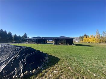 Tussock Treasure 1 - Twizel