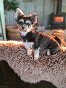 About Thyme for Sleeps and Treats Bed & Breakfast - Alexandra