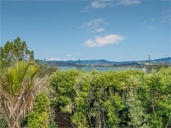 Hosts on the Coast Puriri Pride - Whitianga