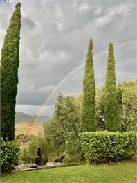 Kotare - Touch of Tuscany in Matakana - Matakana