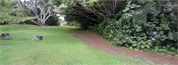 Rural Bay of Islands 1 acre with two blue heelers, 13 min Kerikeri 25 minutes by car to Paihia - Kerikeri