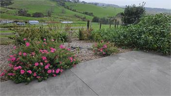 Bever Farm Cottage - North Auckland