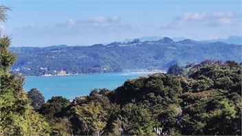 Hosts on the Coast Fernhaven Cabin - Whitianga