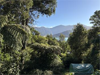 Relaxed Kenepuru Sounds Getaway - Sandy Bay
