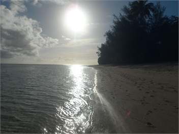 Papa Mauri's Place - Vaimaanga