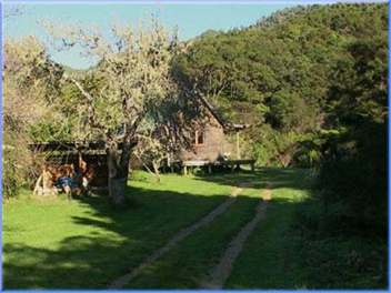 Ruru Cottage - Collingwood 