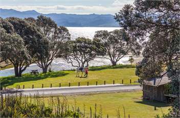 Reefers - Whitianga