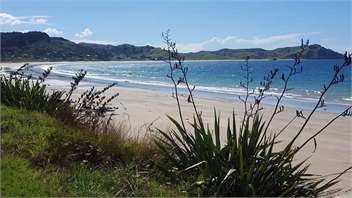 Opito Bay Holiday Unit. - Whitianga