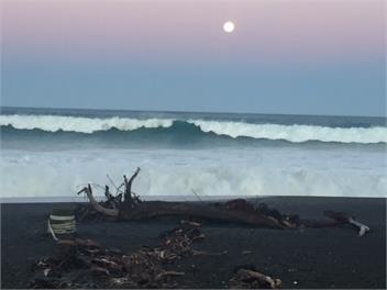 BAY VIEW SUNRISE BACH - Napier
