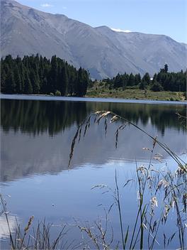 Snowshoe Cottage - McKenzie
