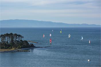 Ocean Vista - Nelson Waterfront Holiday Home - Nelson