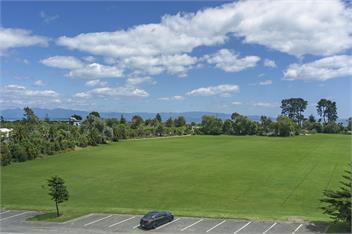 Oceanview Apartment - Beachside in Nelson - Nelson