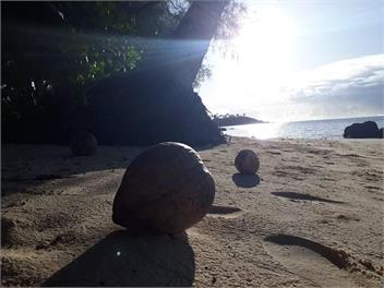 Muri Sunrise Retreat - Rarotonga