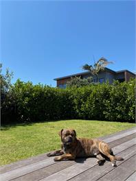 ** SURF COTTAGE ** MOUNT/OMANU LUXURY UNIT - MOUNT MAUNGANUI