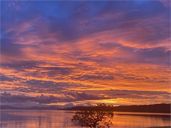 Lakeside Apartment - Taupo