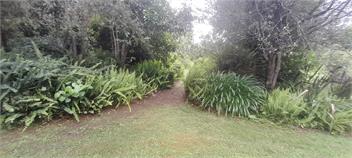 Rural Bay of Islands 1 acre with two blue heelers, 13 min Kerikeri 25 minutes by car to Paihia - Kerikeri