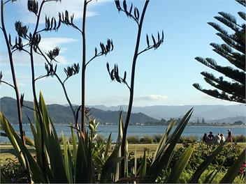 La Plage - Whitianga villa - Coromandel
