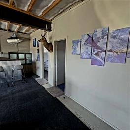 Reel Haven - Waihau Bay