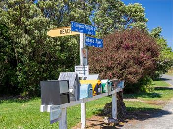 Tuis Song (Bachcare) - Collingwood