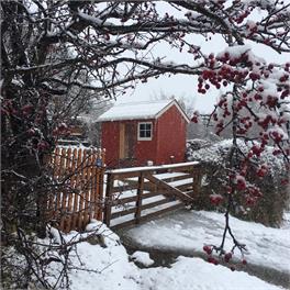 The Old Orchard Cottage - St Bathans