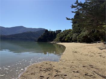 Relaxed Kenepuru Sounds Getaway - Sandy Bay