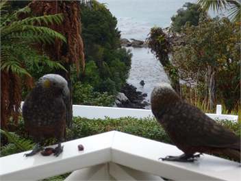Kamahi Cottage - Halfmoon Bay