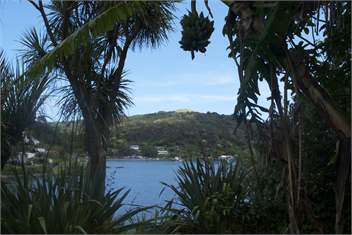 Settlers Dream Bach, Mill Bay - Mangonui