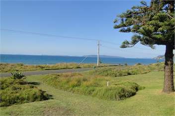 The Green Bach - Whitianga