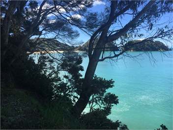 Captains View - Motueka