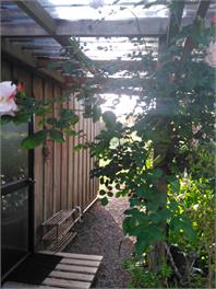 Waitotara Cottage - Kerikeri