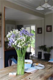 COZY ORGINAL FARM COTTAGE - Tui Ridge Homestay - Ohinewai