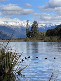 Gowan Brae - Nelson Lakes