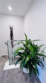 Natural Elegance - Auckland