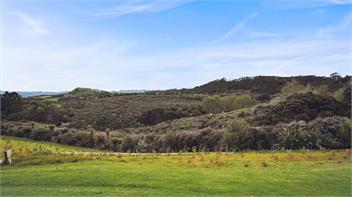 Tawharanui Cabin (Bachcare) - Warkworth