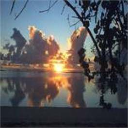 Aroa Beachfront House - Starlink Internet - Arorangi
