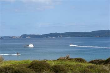 Timandra - Opito Bay