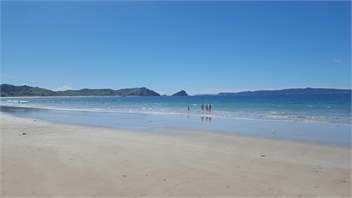 Opito Bay Holiday Unit. - Whitianga