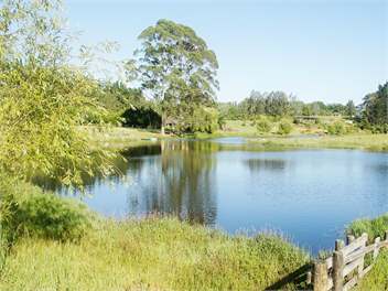 Peace & Tranquillity - Kerikeri