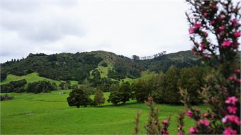 Matakana Valley Barn Apartment - Matakana